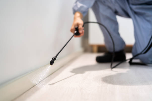Licensed Cockroach Control service in Greenville, TX - Nex Pest Control